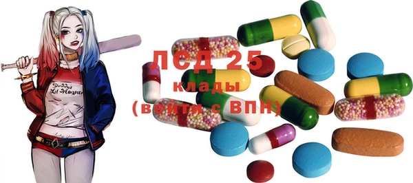 шишки Балабаново