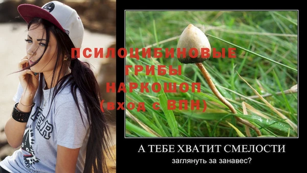 прущий лед Балахна